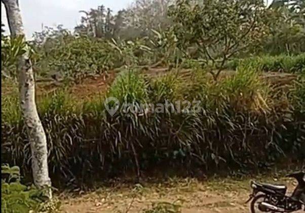 Tanah Zona  Kuning Murah Dan Luas Di Kota Batu 2