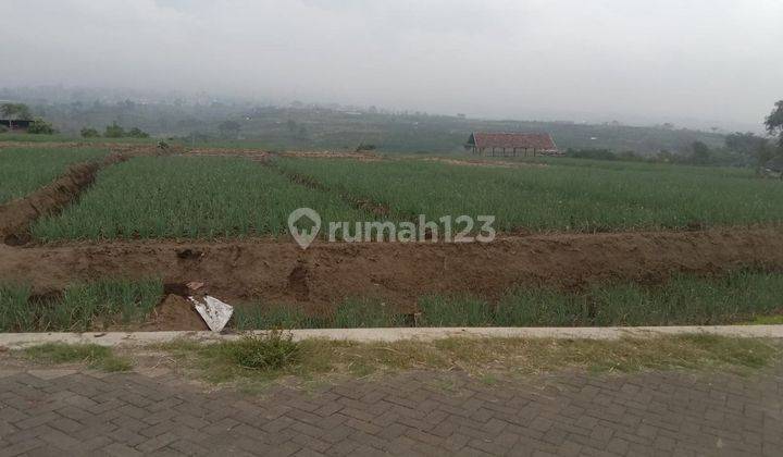 Tanah Luas Lokasi Strategis Dan Subur Di Junrejo batu 2