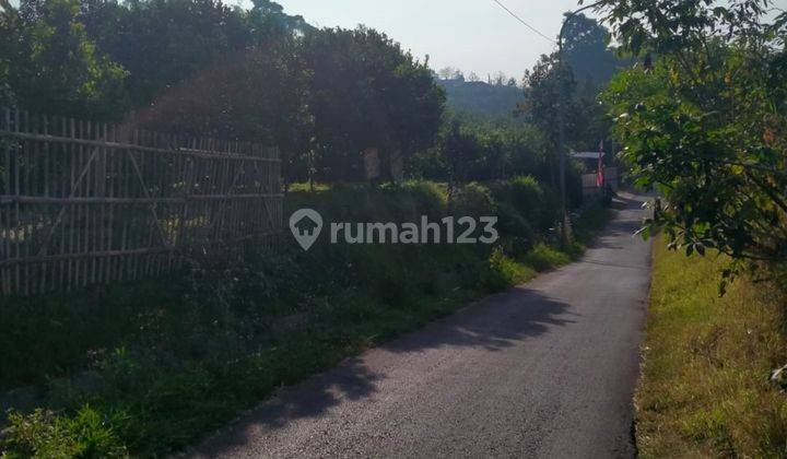 Tanah Kebun Jeruk Produktif Murah di Junggo Batu 1