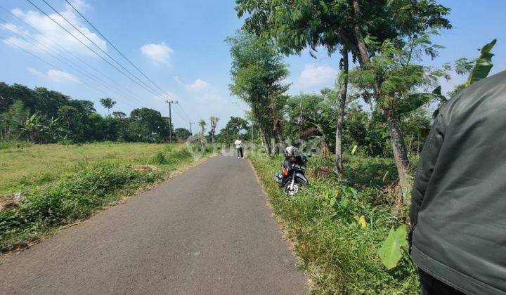 Tanah Luas Subur Dan Termurah Di Purwodadi Pasuruan 2