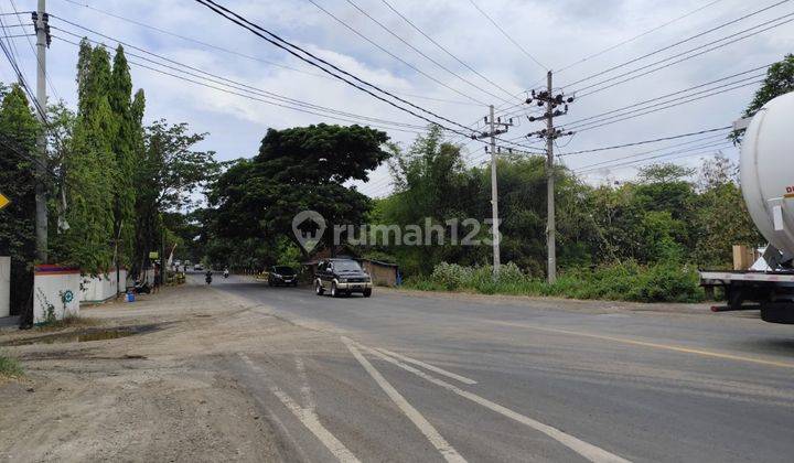 Tanah Strategis Poros Jalan Surbaya Dan Situbondo Super Luas Di Paiton 1