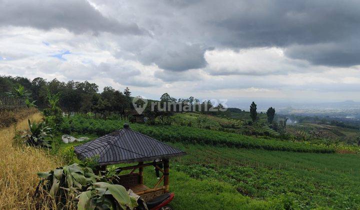 Tanah Luas View Bagus Akses Mobil Di Bulukerto Bumiaji Batu 1