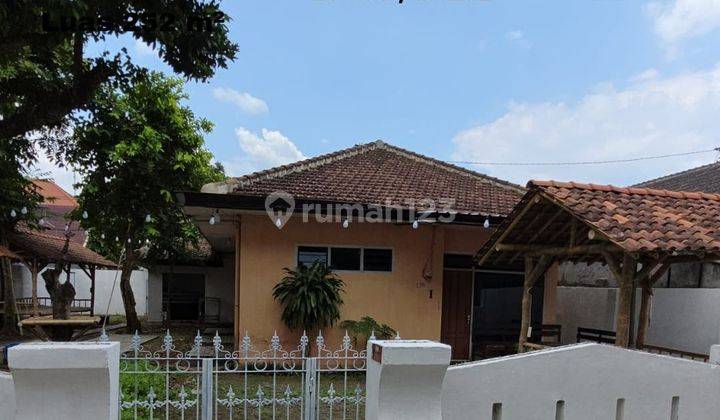 Rumah Luas Dan Murah Di Sumbersari Jember 1