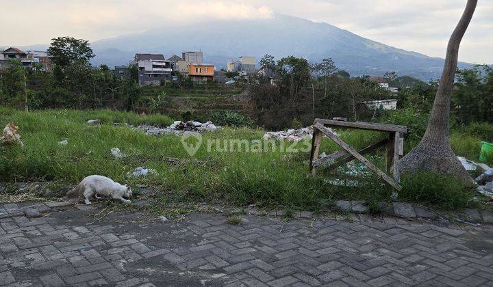 Tanah Siap Bangun Murah Bagus Untuk Villa Di Kota Batu 2