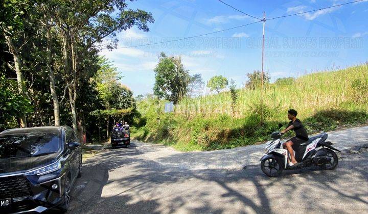 Tanah Lahan Kuning Potensial Dekat Area Kampus Dan Wisata Batu 2