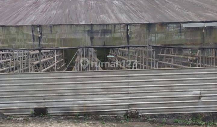 Dijual Greenhouse Besar Luas Siap Digunakan di Pujo, Kab. Malang 1