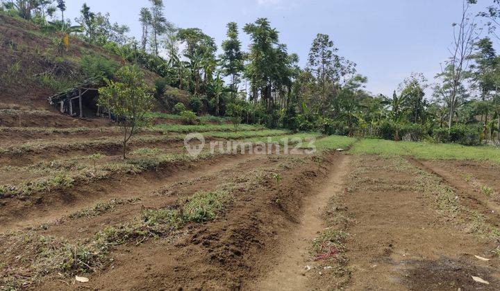 Tanah Murah View Bagus Segar Subur Akses Mudah Di Giripurno Batu  2