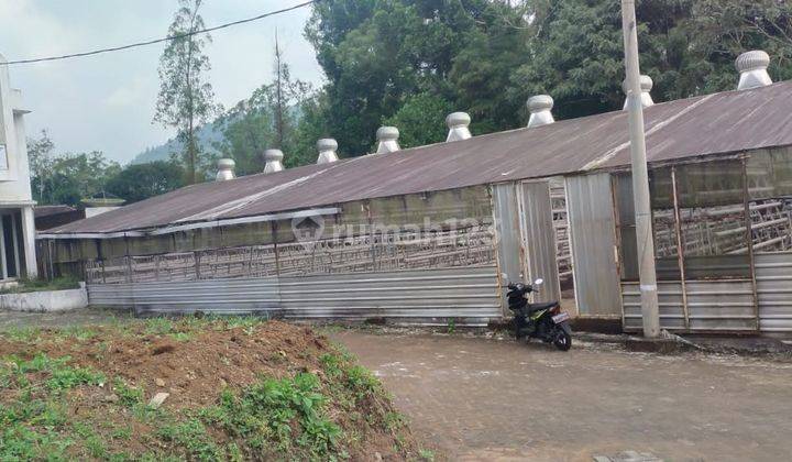 Dijual Greenhouse Besar Luas Siap Digunakan di Pujo, Kab. Malang 2