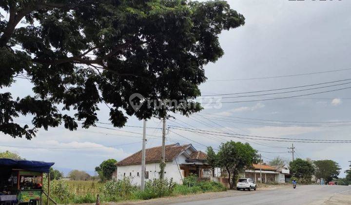 Dijual Cepat Tanah Strategis Poros Jalan Raya Surabaya situbondo di Paiton Probolinggo 1