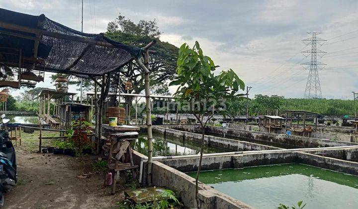 Dijual Tanah Luas Murah Plus Bangunan Rumah di Kediri 2