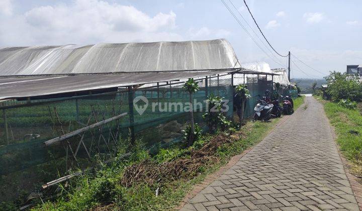 Tanah Murah Pemandangan Terbaik Sejuk Segar Untuk Kebun Sayur Di Batu 2