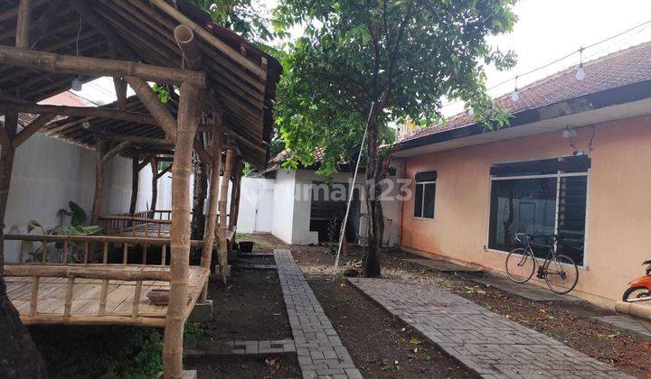 Dijual Cepat Dan Murah Rumah Dengan Tanah Luas di Jember 2