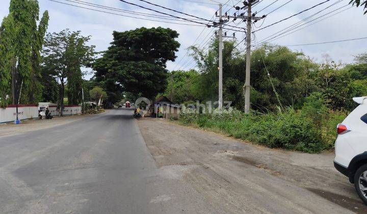 Dijual Cepat Tanah Strategis Poros Jalan Raya Surabaya situbondo di Paiton Probolinggo 2