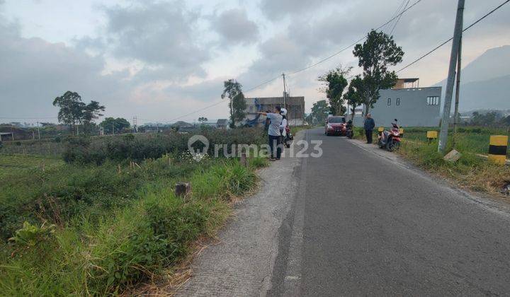 Tanah Luas Super Murah Di Pusat Kota Bagus Untuk Rumah Villa Batu Rumah