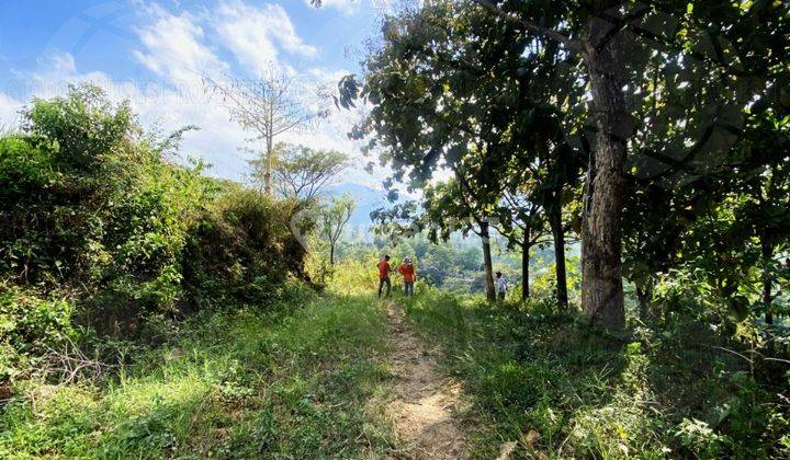 Dijual Tanah Lahan Kuning Strategis di Junrejo Kota Batu 2