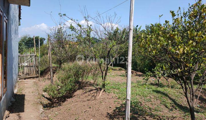 Dijual Cepat Rumah Plus Kebun Jeruk di Bumiaji, Kota Batu 2