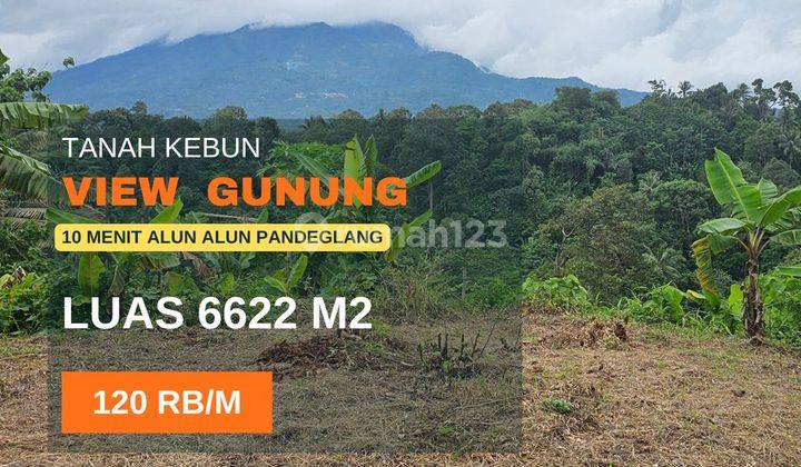 Di Jual Tanah Kebun View Gunung Di Pandeglang Banten 2