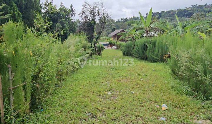 Jual Tanah Luas 13000m² Di Pamijahan Bogor Bonus Villa Kayu. 2