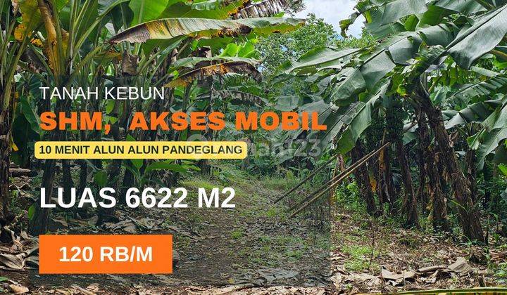 Di Jual Tanah Kebun View Gunung Di Pandeglang Banten 1