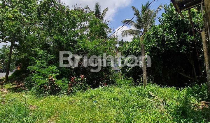 Tanah Strategis Pinggir Jalan, Tegallalang Gianyar Bali
