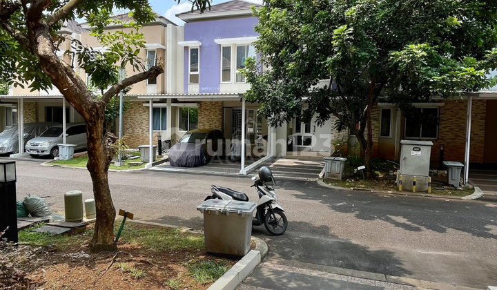 Thomson Gading Serpong House For Rent Cheap 2