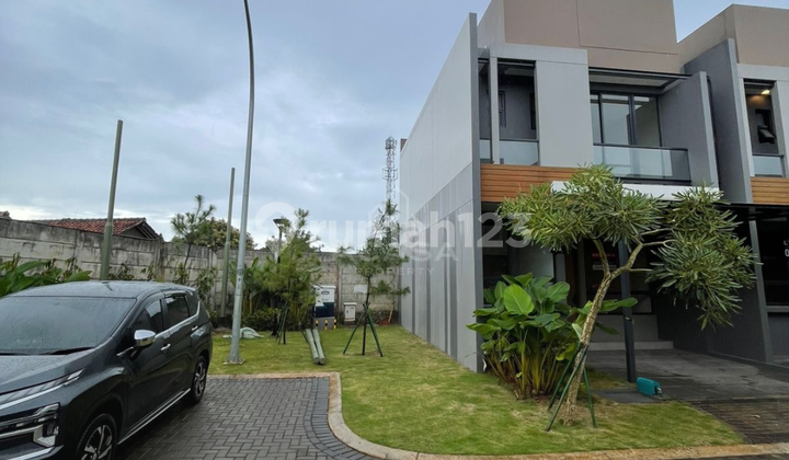 Adora Classic 6X11 Teravia BSD Brand New 2