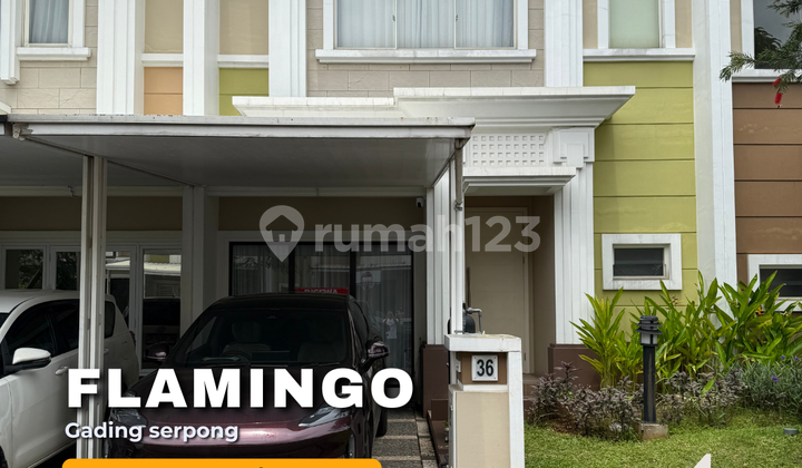 Flamingo Gading Serpong 7X16 Furnished Ready to Use