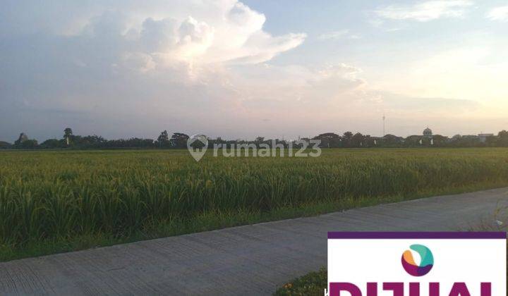 Lahan Sawah Cocok Untuk Perumahan di Tambun Utara Bekasi 2