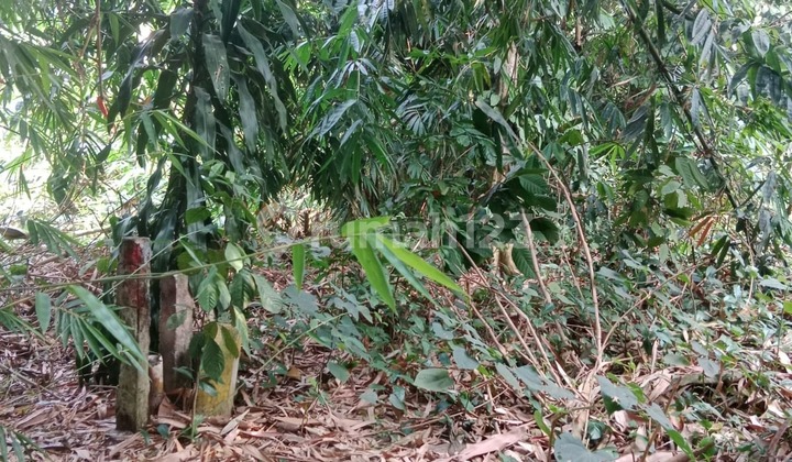 Affordable Land in Strategic Location at Mekarwangi Cisauk Tangerang Affordable Land in Strategic Location at Mekarwangi Cisauk Tangerang