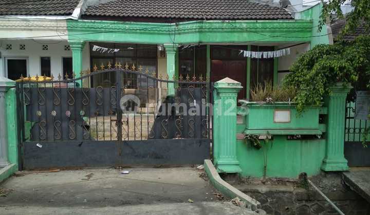 Rumah Bahan Murah Jarang Ada di Kayu Putih Jakarta Timur Rumah Bahan Murah Jarang Ada di Kayu Putih Jakarta Timur
