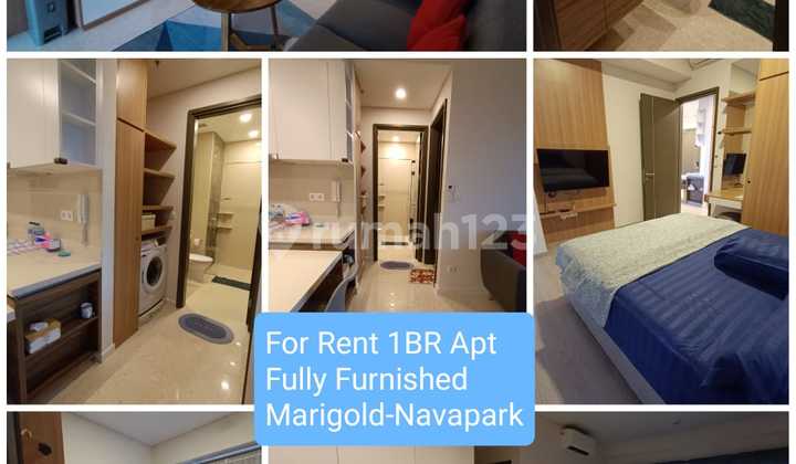 DISEWAKAN Marigold, Nava Park 1BR Full Furnished