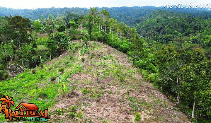 Tanah Kebun Siap Bangun 47,000 M2 Area Baturiti Tabanan 2