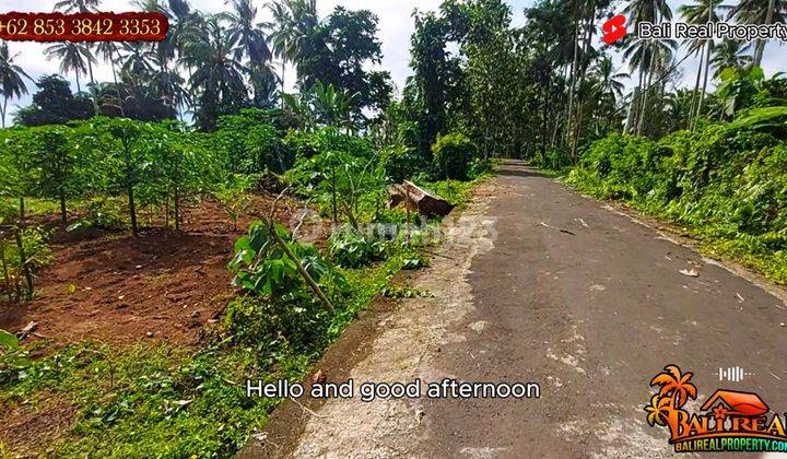 Tanah Kebun 102 Are Untuk Komersil Dg Akses Jalan Pribadi 2