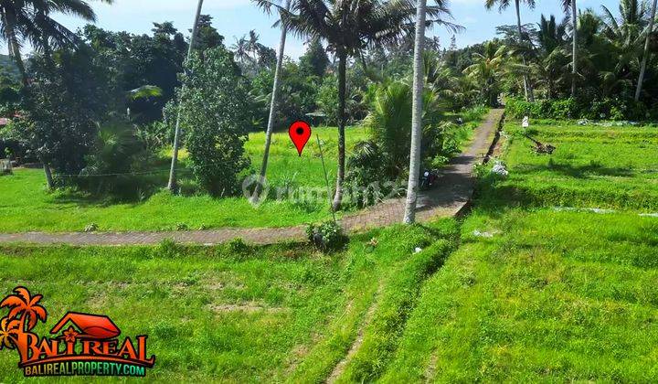 View Hutan dan sawah 2,520 m2 di Tampaksiring Ubud 2