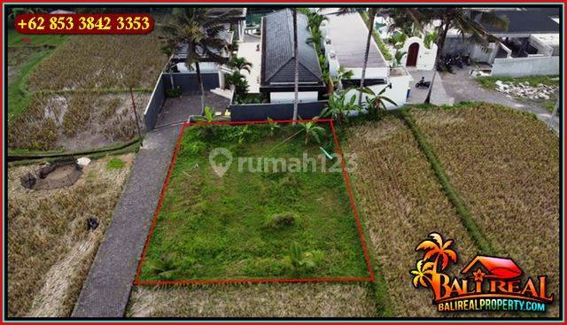 Strategis 270 M2 View Sawah Dan Gunung Untuk Hunian di Pejeng 2