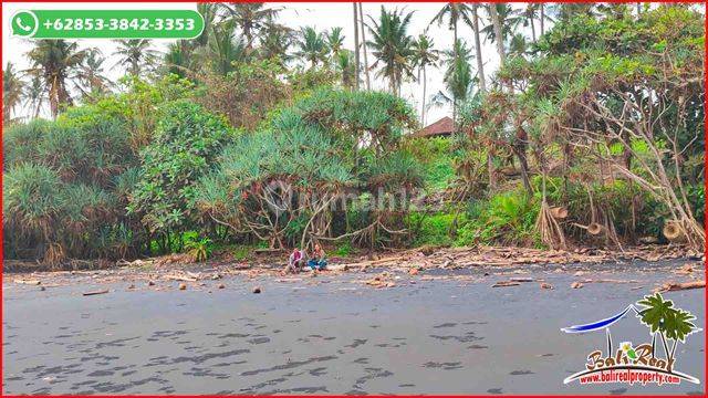 Beach Front 9,700 M2 in West Selemadeg Tabanan 2