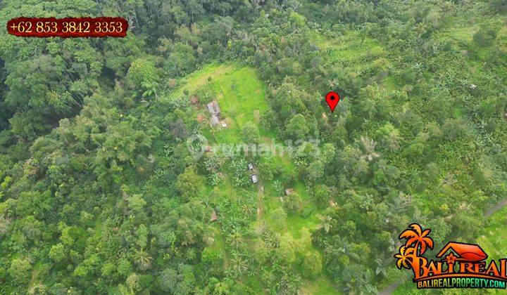 Dijual Nett Lahan Seluas 72 Are Lokasi Penebel Tabanan 2