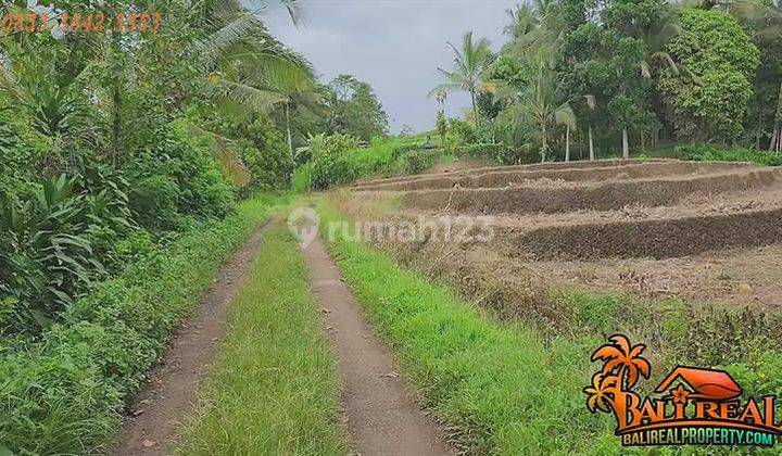 Garden Land For Sale Very Cheap Semi Box in East Selemadeg 2