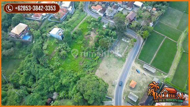 Pinggir Jalan Dengan View Kebun 600 M2 di Sukawati Ubud 2