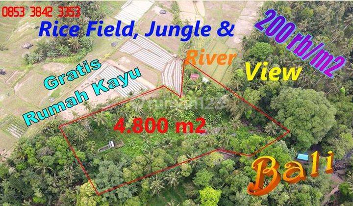 4,850 M2 Lahan Datar Berkontur Akses Jalan Subak di Penebel 1