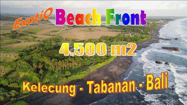 Langka, Murah 45 Are Beachfront View Sawah Area Selemadeg Timur 1