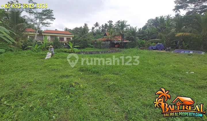 Siap Bangun 438 m2 Potensial untuk Villa Pribadi 2