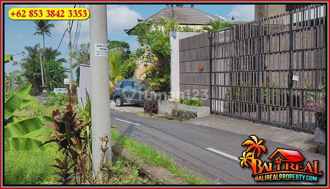 2,400 M2 Flat Dominant Garden Land in Ubud Pejeng Roadside 2