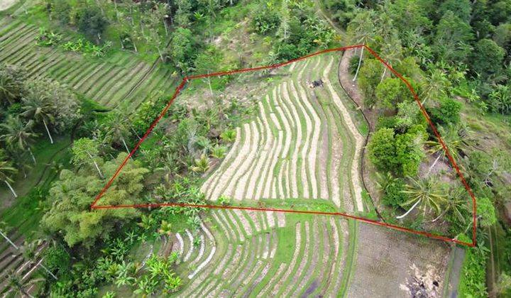 Strategis 53 Are View Sawah, Gunung, Hutan, Dan Laut 2