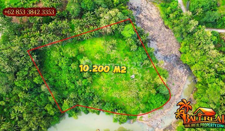 10,200 M2 Tanah Kebun Dijual Murah Akses Jalan Pribadi 2