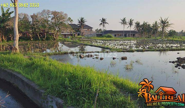 Dijual Laahan Dekat Sentral Ubud 10 Are Lingkungan Villa 2