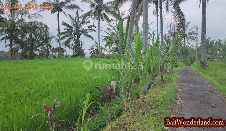 3,000 M2 Lahan Dekat Obyek Wisata Air Panas Angseri 2