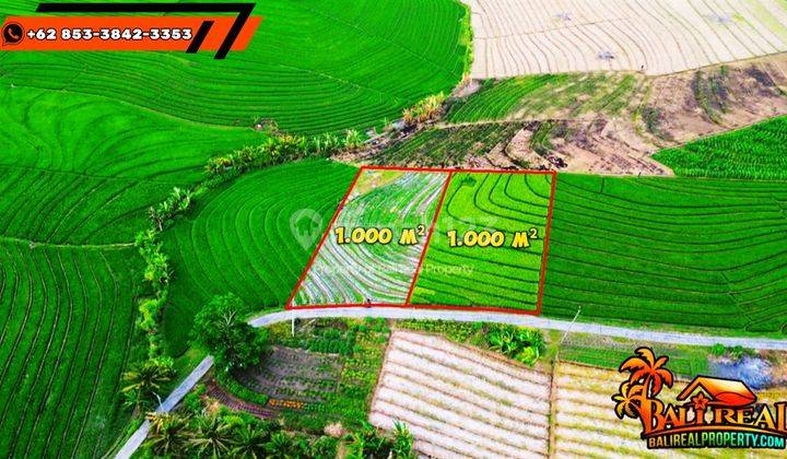 View Sawah, Gunung Dan Laut Dekat Pantai 1,000 M2 di Selemadeg 2