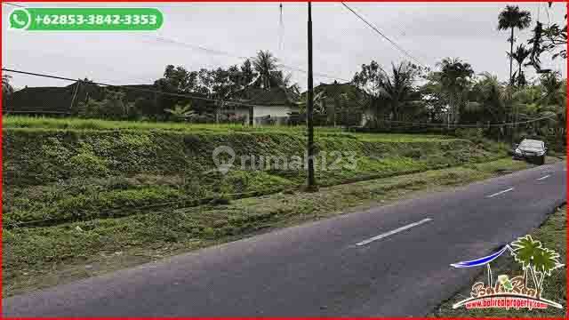 1,2 Ha Tanah Sawah Datar Dijual Murah Strategis Pinggir Jalan 2