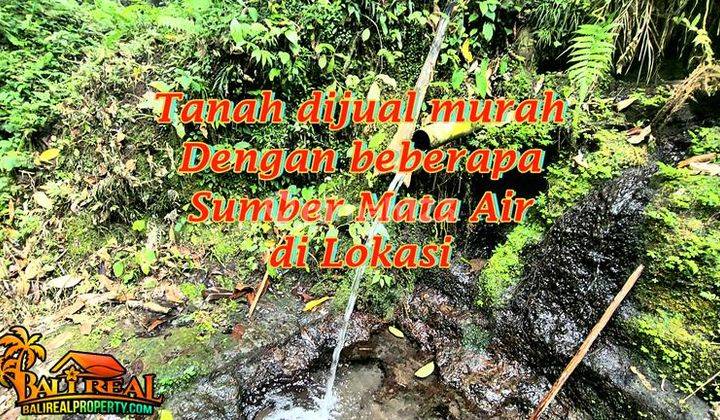 15,000 M2 Dg Sumber Mata Air Bersih di Buruan Penebel 1